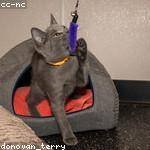 Alverta Weimann Profile Picture