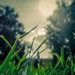 Madaline Windler Profile Picture