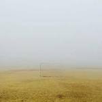 Adrian Nikolaus Profile Picture