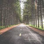 Royal Herman Profile Picture