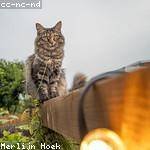 Zechariah Jacobi Profile Picture