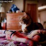 Alexzander Torp Profile Picture